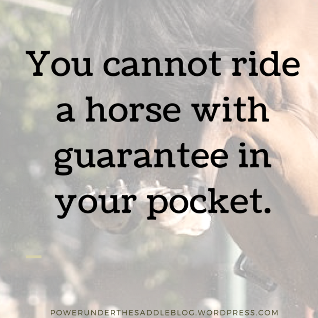 You cannot ride a horse with guarantee in your pocket.